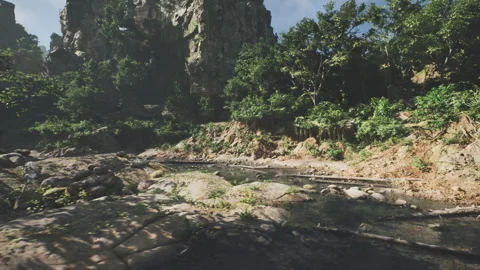 Dry riverbed under cliffs with scattered stones and vegetation Stock Footage 331521053