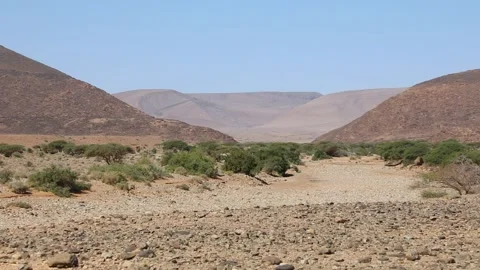 Dry Riverbed Winding Through Arid Desert Landscape with Mountains Stock Footage 336616994