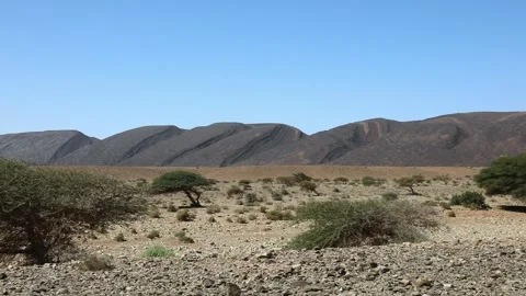 Dry Riverbed Winding Through Arid Desert Landscape with Mountains Stock Footage 336617945