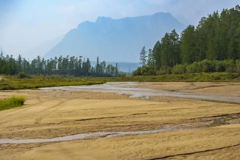 Dry riverbed winding through a forested valley with mountain in the backgroun Stock Photos