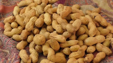 Dry roasted peanuts Stock Footage 70860476