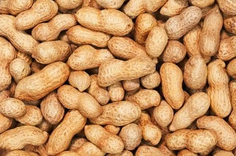 Dry roasted peanuts. Stock Photos