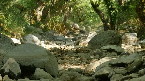 Dry Rocks on Riverbed Stock Footage 78065713