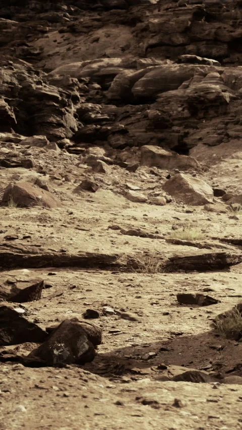 Dry rocky landscape with sparse vegetation during daytime Stock Footage 331368117