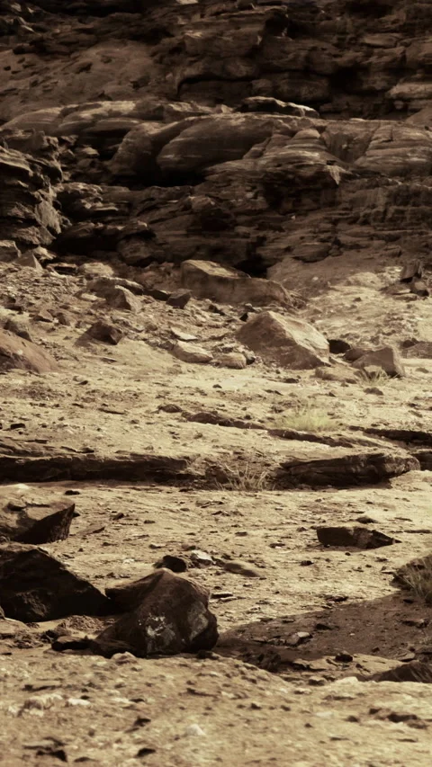 Dry rocky landscape with sparse vegetation during daytime Stock Footage 332205423