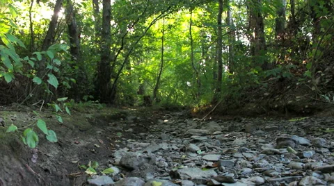 Dry rocky riverbed Stock Footage 53085187