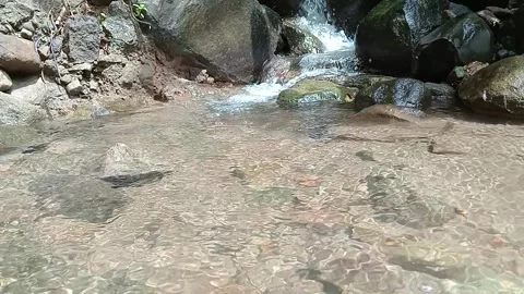 Dry Rocky Riverbed With Light Water Flow Natural Outdoor Scene Stock Footage 330584661