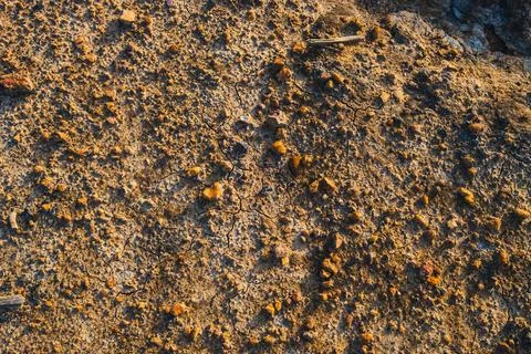 Dry Rocky Soil Texture Фото