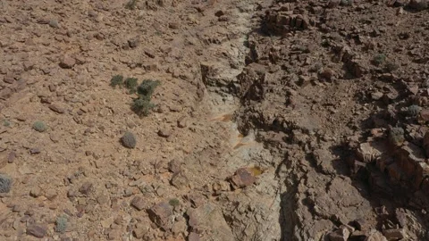 Dry Rocky Terrain with Small Gully and Sparse Vegetation Stock Footage 335636643