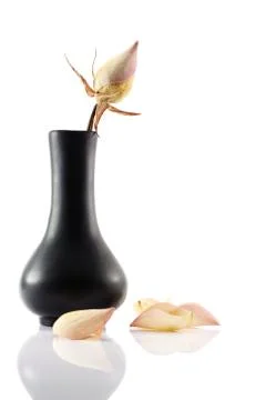 Dry rose in a small ceramic vase Stock Photos