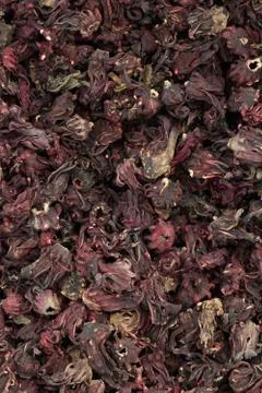 Dry roselle Stock Photos