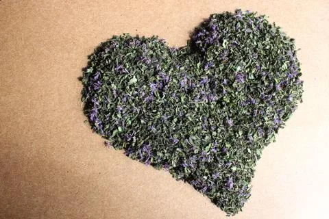 Dry Russian Ivan-tea Photos