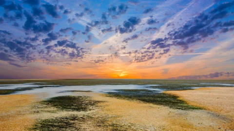 Dry saline land at the sunset time lapse scene Stock Footage 231985482