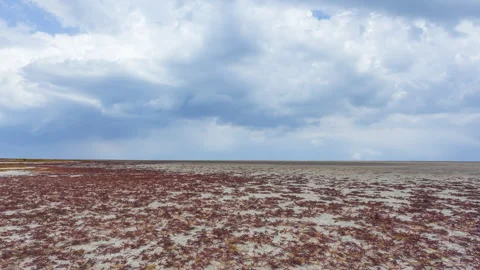 Dry saline prairie with ping grass under a dense cloudy sky Stock-Footage 321037093