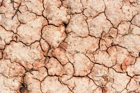 Dry saline soil surface for background texture 写真素材