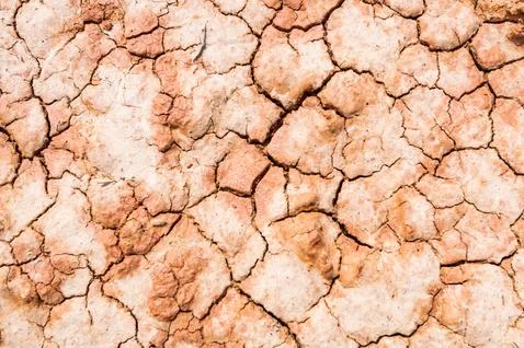 Dry saline soil surface for background texture Stock Photos