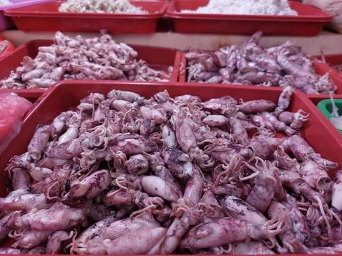 Dry salted cod fish Stock Photos