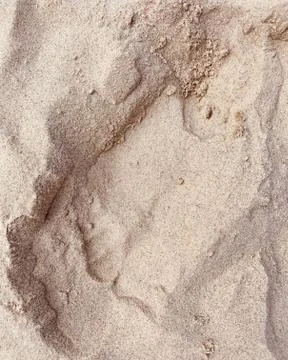 Dry sand on the beach. Stock Photos