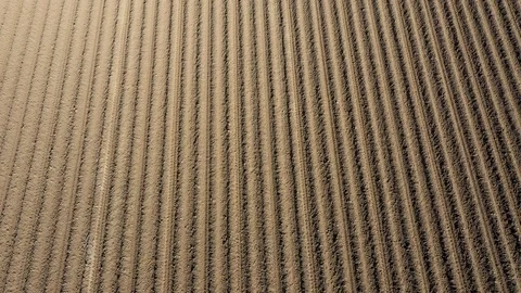 Dry sand  in waves plowed 動画素材 129892176