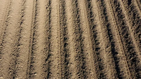Dry sand  in waves plowed 스톡 동영상 129892206