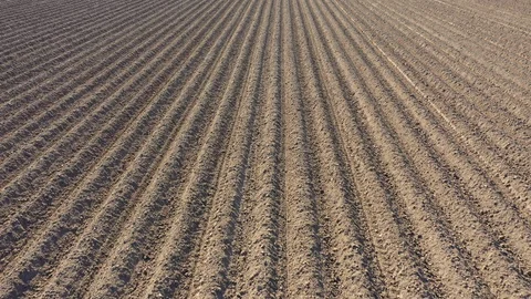 Dry sand  in waves plowed 動画素材 129892291