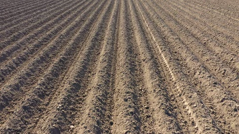 Dry sand  in waves plowed 動画素材 129892315
