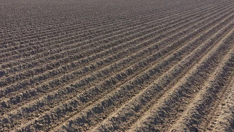 Dry sand  in waves plowed 動画素材 129892419
