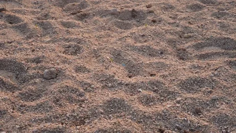 Dry Sandy Ground Texture Close Up Stock Footage 330062764