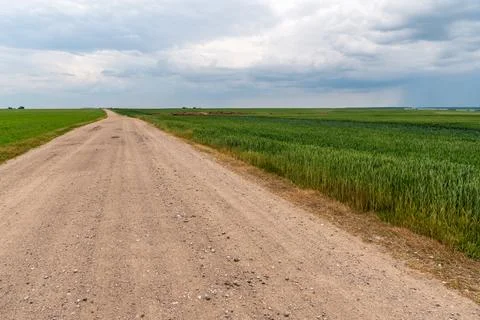 A dry sandy road passes through a field under the scorching sun and clouds. D Фото