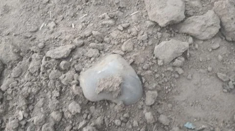 Dry Sandy Soil Texture with Buried Stones ​Option 2 (Conceptual): Fine Dry Stock-Fotos