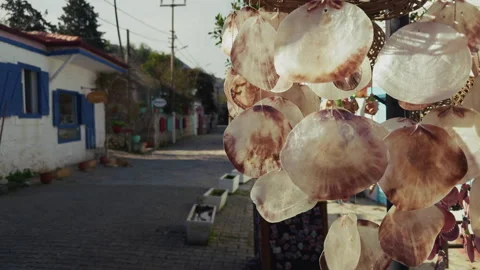 Dry Seashells ornaments Waving in the Wind Stock Footage 299877601