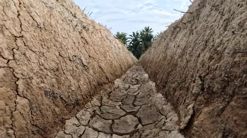 Dry season ditch Vídeos de archivo 328967091