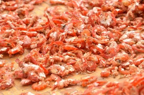 Dry shrimp Stock Photos