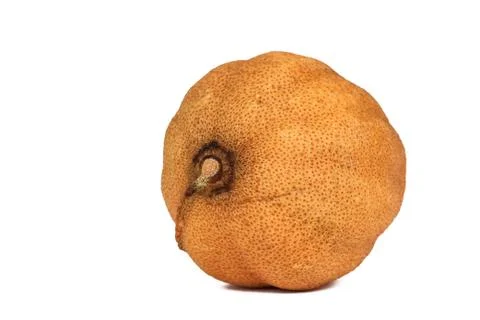 The Dry Single Lemon on the White Background Stock-Fotos