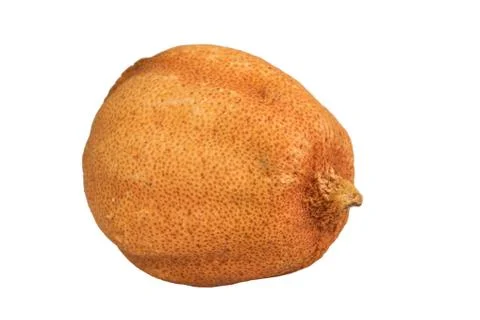 The Dry Single Lemon on the White Background Stock Photos