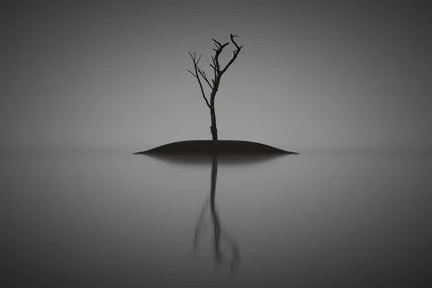 Dry single tree Stock Illustration