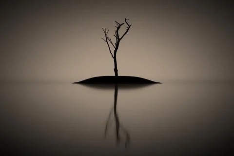 Dry single tree Stock Illustration