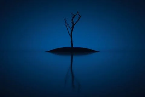 Dry single tree Stock Illustration