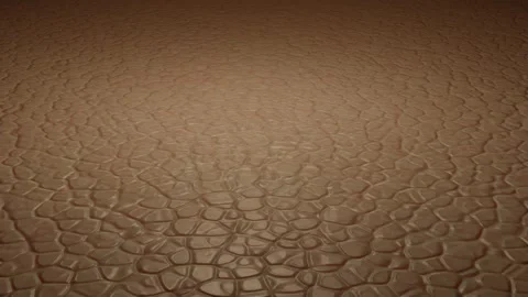 Dry skin camera flyover. 3d animation render Stock Footage 233552242