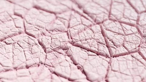 Dry Skin Illustrazione stock