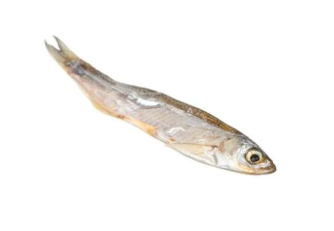 Dry small fish Stock Photos
