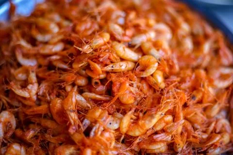 Dry small prawn fish  Stock Photos
