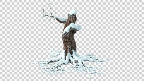 Dry snowy tree isolated on a transparent background Stock Illustration