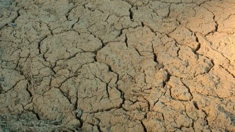 Dry soil and cracked. Stock Footage 84288929