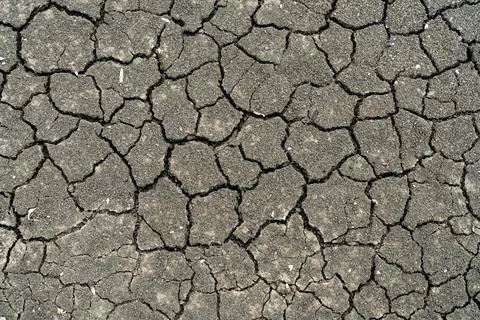 Dry soil and pebbles cracking pattern Stock-Fotos