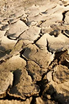 Dry soil in arid areas Stock Photos