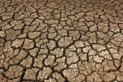 Dry soil Arid Stock Photos