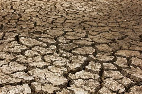 Dry soil Arid Stock Photos