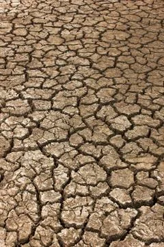 Dry soil Arid Foto stock