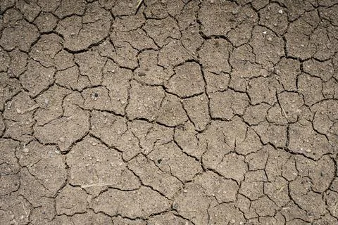 Dry soil background. Texture of dry land in drought and hot weather Stock Photos